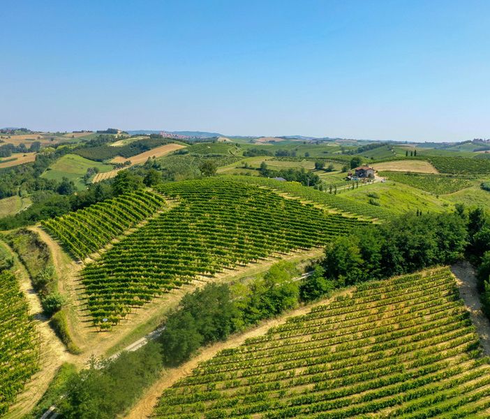 L'azienda astigiana Ferraris Agricola presenta Opera Prima Riserva 2017