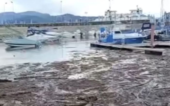 Torna la &quot;buzza&quot;: il comune di Verbania autorizza la raccolta della legna