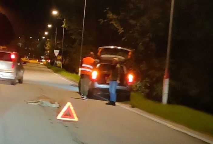 Quel gesto amorevole verso il capriolo ferito a morte che non lascia indifferenti