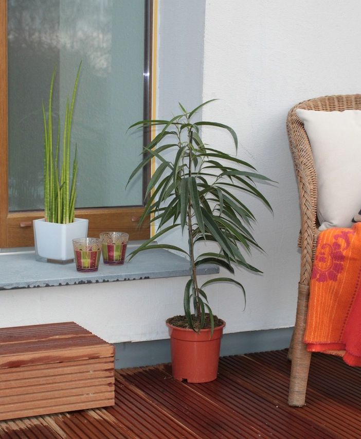 Come arredare un terrazzo con un budget low cost