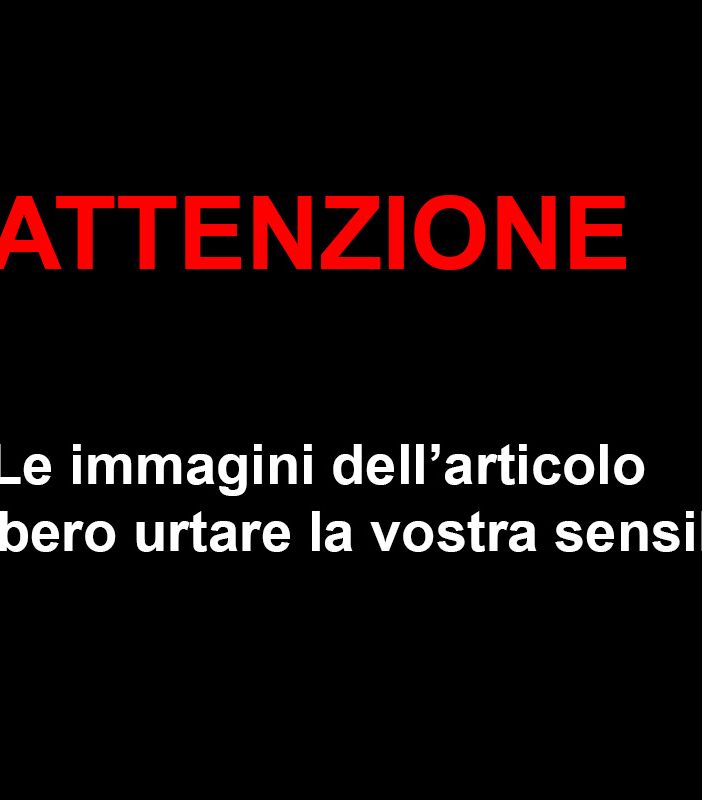 ''Il lupo è sempre più un pericolo: più di 100 capi uccisi negli ultimi mesi''