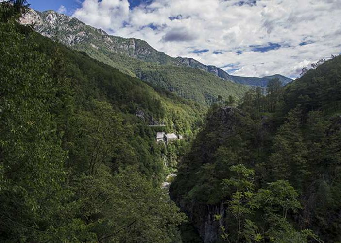 Trasformazione del bosco: la giunta abbassa a 10.000 euro l’importo base per il calcolo della compensazione
