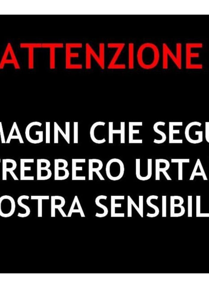 Pecore e montone attaccati e uccisi a Cireggio