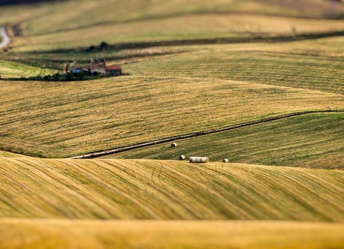 Giornata della Terra, Coldiretti: &quot;Scomparsi in Piemonte 2,4 campi da calcio al giorno&quot;