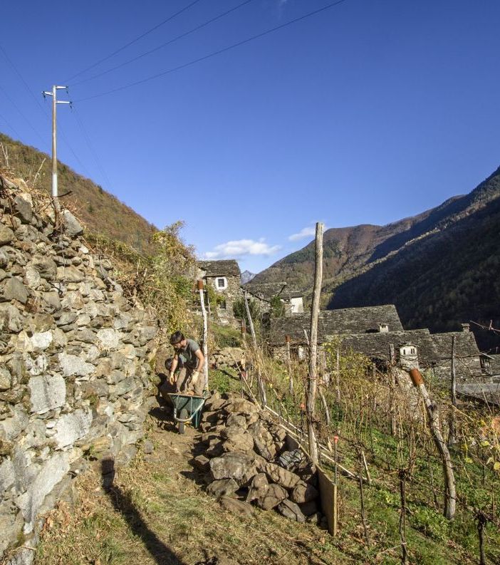 Promuovere il territorio e valorizzare i paesaggi terrazzati: il progetto Interraced-Net
