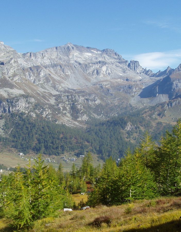 Coldiretti Piemonte: &quot;La legge europea sul ripristino della natura è sbagliata&quot;