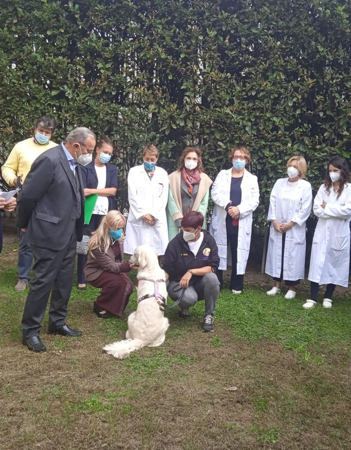 Parte la Pet Terapy alla Psichiatria di Verbania