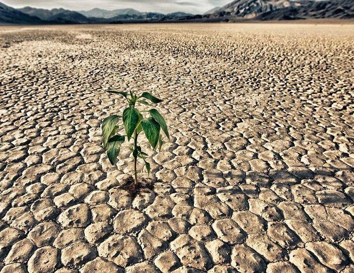 Siccità, Coldiretti Piemonte lancia l'allarme: &quot;A rischio il 40% delle produzioni estive&quot;
