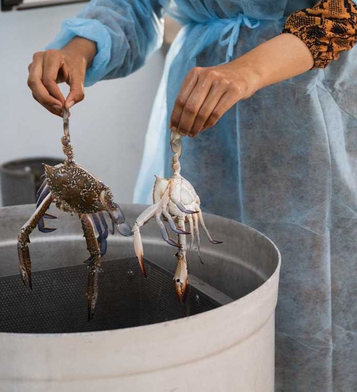 Per Artusi il granchio blu e’ un business ma anche un aiuto ai pescatori