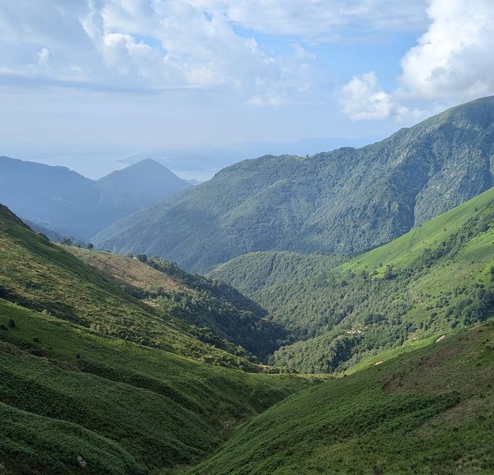 Ripristino ambientale, avviati i lavori di contenimento della felce aquilina in Val Grande