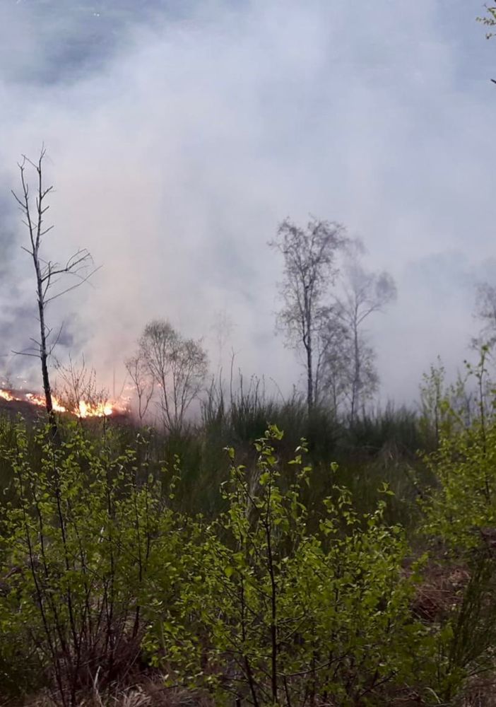 Rischio incendi boschivi, dalla Regione quasi 5 milioni per la prevenzione