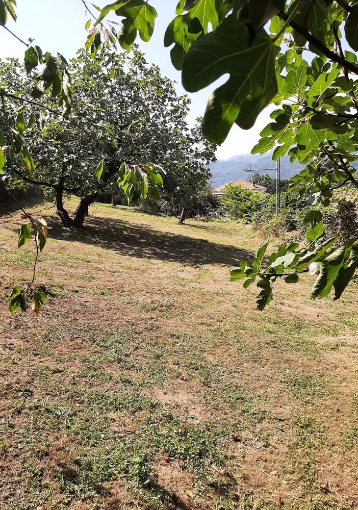 Collaborazione tra quartieri e amministrazione per migliorare la sicurezza e la qualità della vita