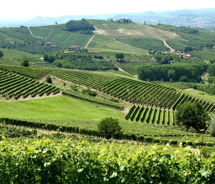 In Piemonte la sesta conferenza mondiale del turismo enologico
