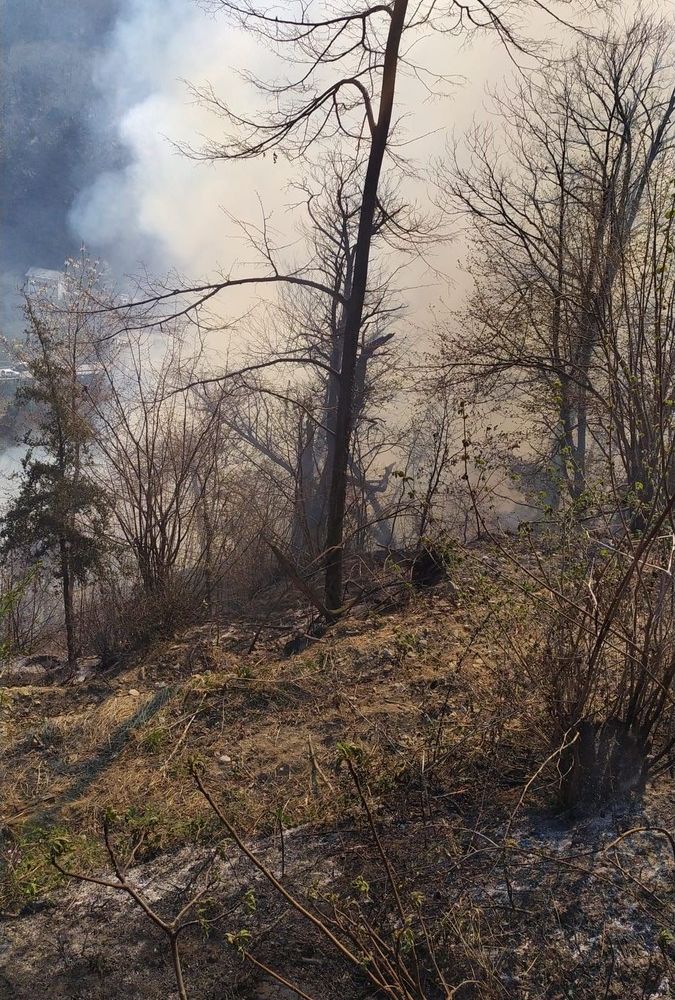 Bosco in fiamme in Valle Cannobina