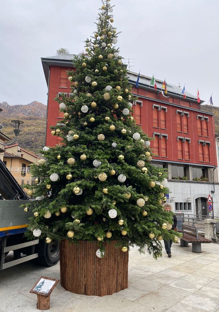Cinque alberi di Natale e una pista di pattinaggio galleggiante per le festività omegnesi