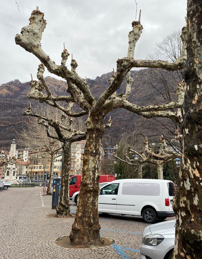 Omegna si fa più bella per ospitare la delegazione di Pornic