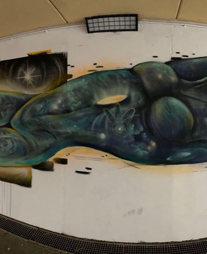 Concluse le opere di street art di giovani artisti a Verbania in zona Flaim FOTO
