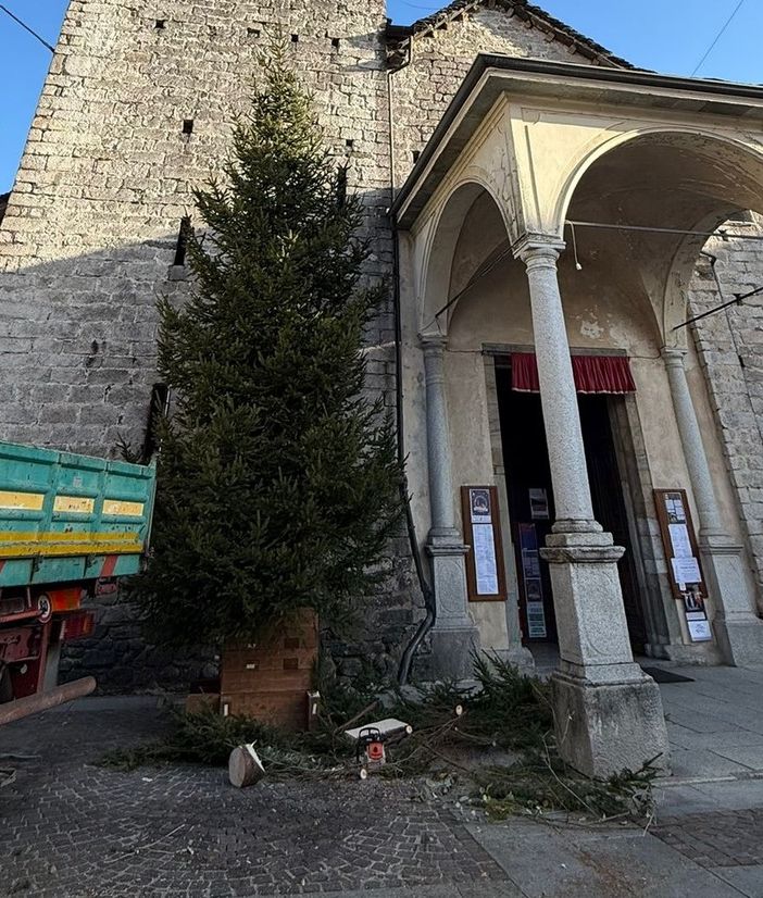 Fervono i preparativi per l'albero di Natale in piazza Beltrami FOTO