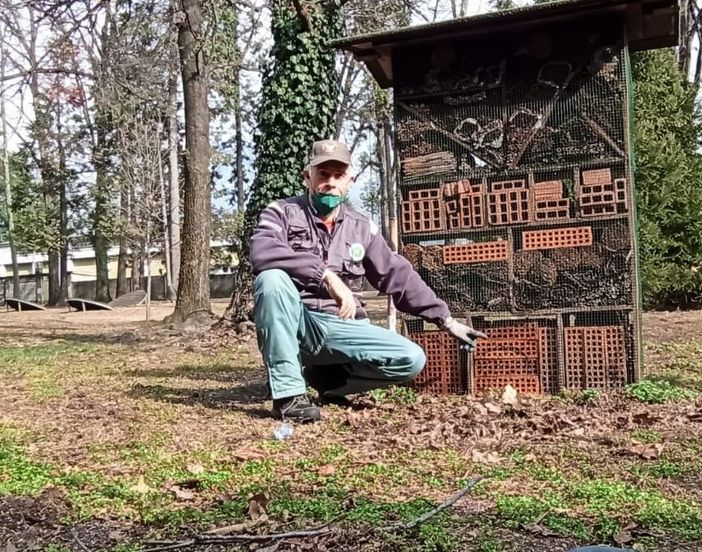 I nonni vigili hanno riparato l'alveare danneggiato dai vandali