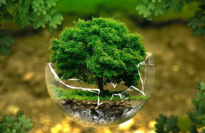 Insieme per l'ambiente: una giornata di pulizia del bosco di Cavandone