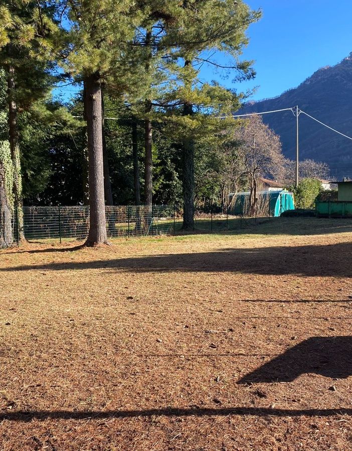 Inaugurata la nuova area cani di Crusinallo