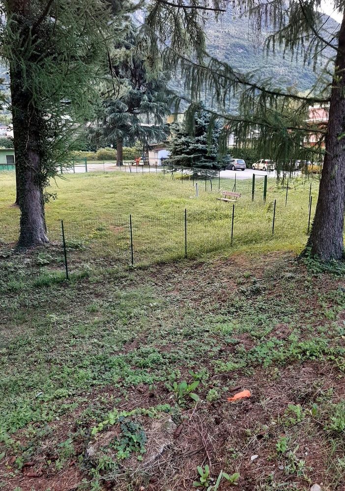 Il &quot;Giardino di Fido&quot; a Crusinallo: un'area di sgambamento cani in attesa di essere aperta