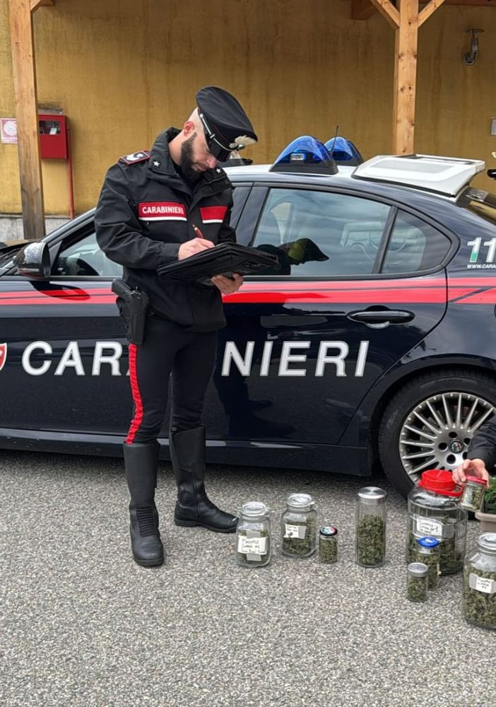 Nascondeva una serra rudimentale per la coltivazione di marijuana: arrestato un 20enne verbanese