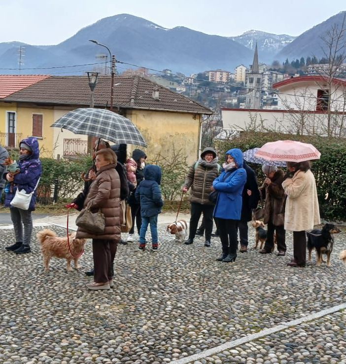Anche a Omegna la benedizione degli animali FOTO