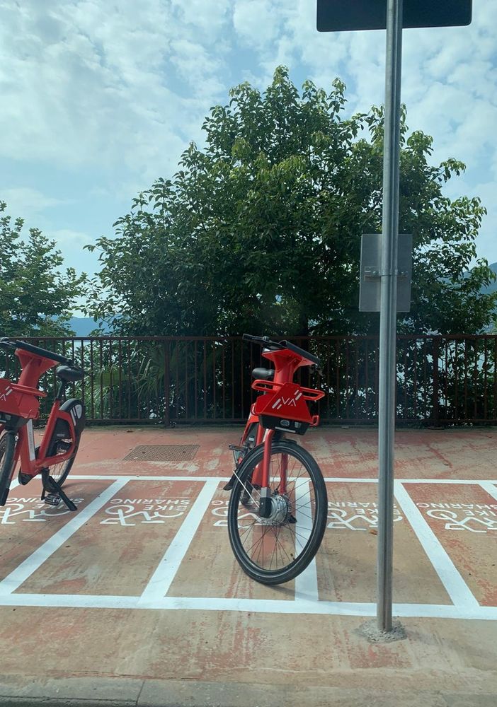 Foto: la ciclabile che da Suna conduce a Fondotoce.