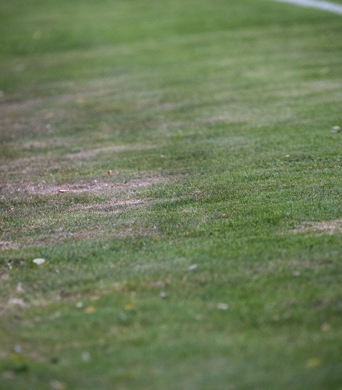 Cosa significa ogni scommessa con handicap goal?