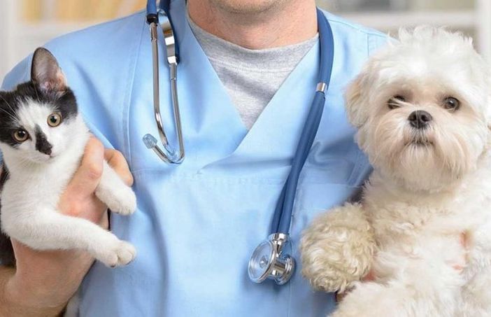 L’assessore Caucino inaugura l’ambulatorio veterinario sociale