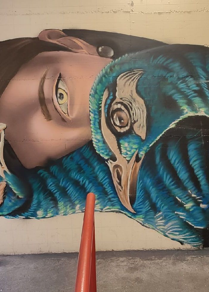 Street art contro i vandalismi al parcheggio Rosmini di Intra
