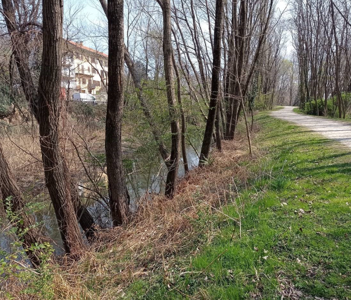 Tornerà a nuova vita il canale di Fondotoce