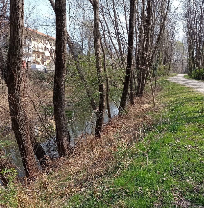 Il progetto ecologico per il canale di Fondotoce premiato dalla Regione