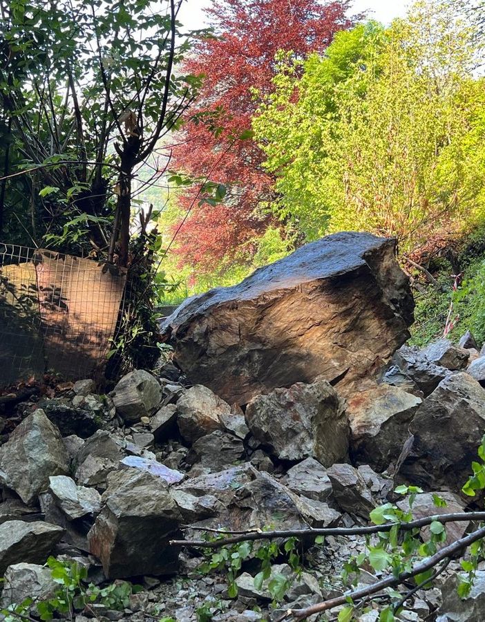 Conclusi i lavori di disgaggio sulla strada per l'Alpe Selviana