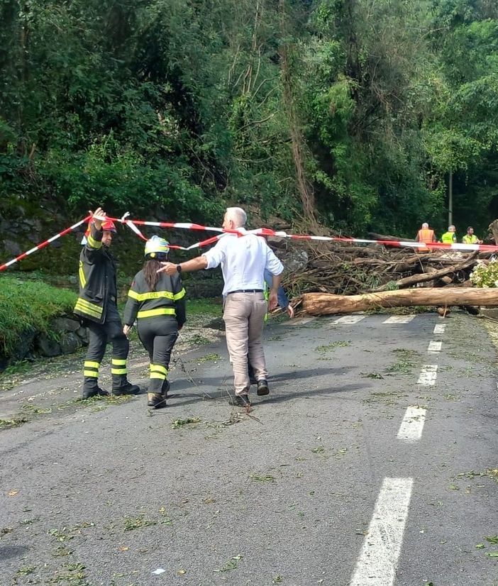 Cannobio: primo sopralluogo geologico dopo la frana di Traffiume FOTO