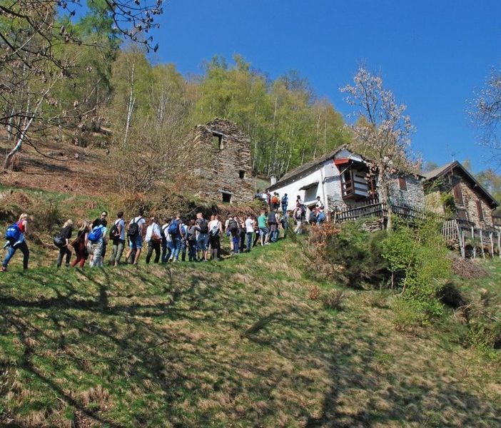 A spasso tra i paesaggi terrazzati del Parco Val Grande