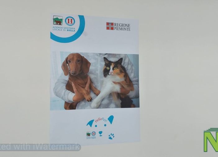 Via libera agli animali d'affezione in ospedale con il progetto Hello Pet!