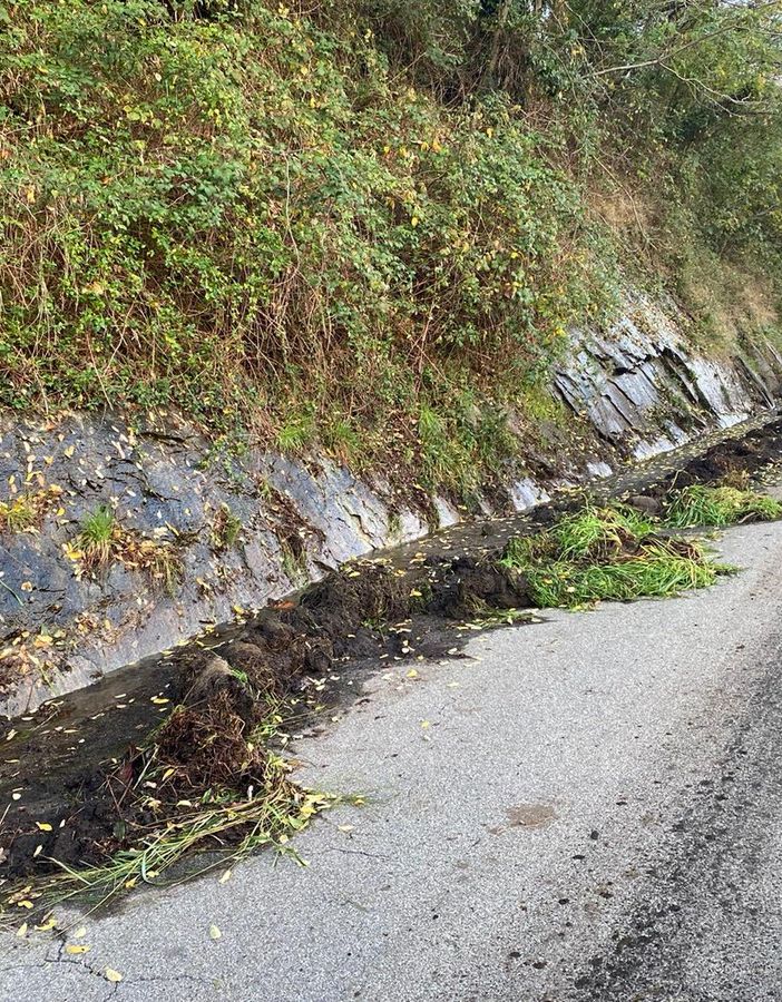 Vegetazione infestante, intervento in via Erbera a Bagnella FOTO