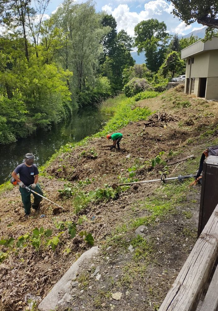 Iniziati i lavori di riqualificazione ecologica e naturalistica al canale di Fondotoce