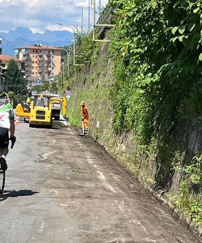 Pulizia del verde, iniziati i lavori in via Novara