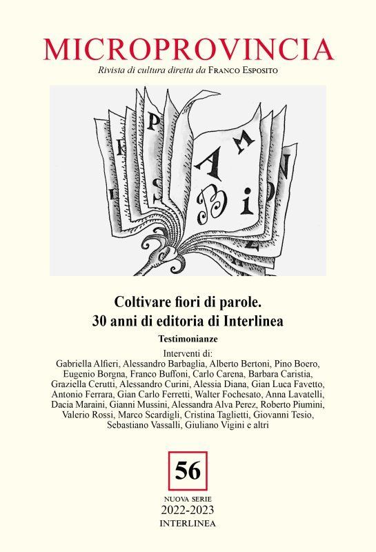 Microprovincia di Stresa è finita sulle pagine culturali del Sole 24 Ore