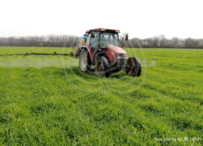 BioDea una soluzione concreta per la coltivazione del grano