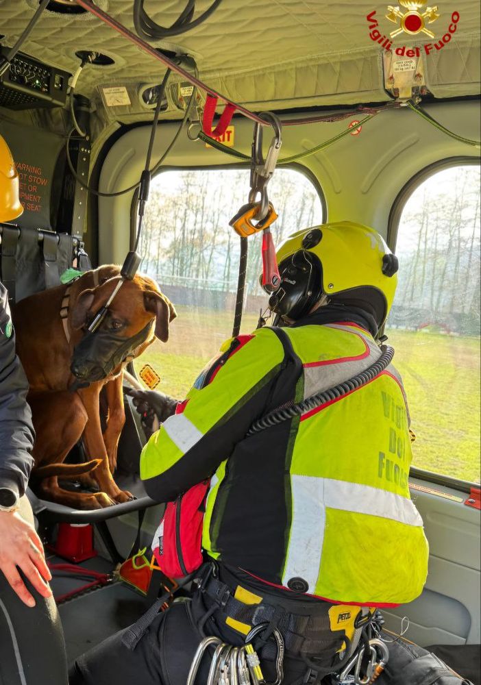Donna bloccata al Mottarone con il suo cane, soccorsa dai vigili del fuoco