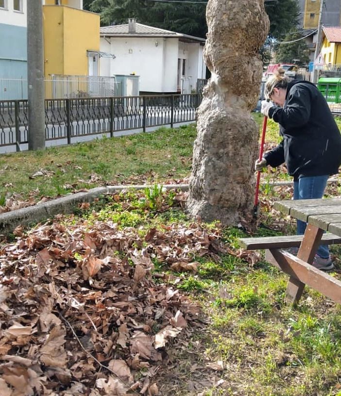 Il nuovo consiglio di quartiere di Crusinallo ha pulito il parco della Dogna