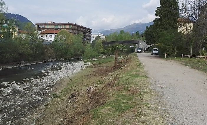 Vandalizzati i nuovi alberi al parco fluviale della Foce del San Giovanni