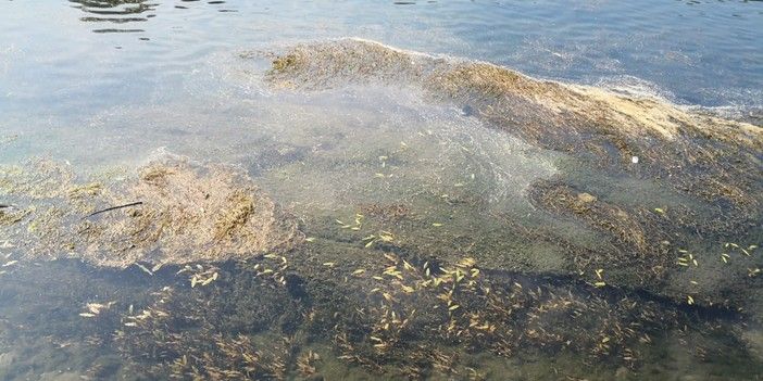 Siccità: necessario gestire razionalmente le risorse idriche