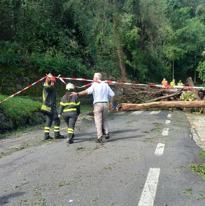 Riaperta a senso unico alternato la statale della Valle Cannobina