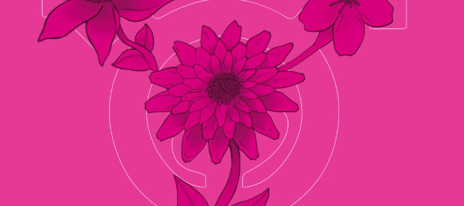 Parata per i Diritti civili ad Omegna