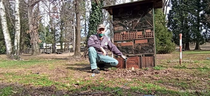 I nonni vigili hanno riparato l'alveare danneggiato dai vandali